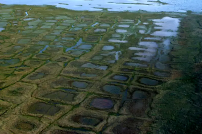 Legal Challenges Mount Against Trump's Alaskan Oil Drilling Push in National Reserve