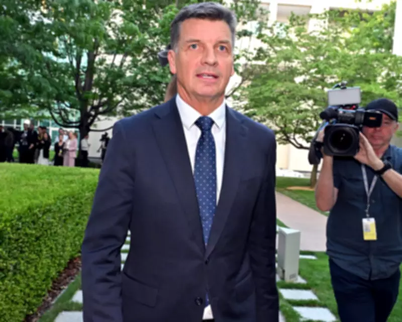 Liberal Leadership Spill Looms as Taylor Resigns, Wealth Tax Calls Emerge