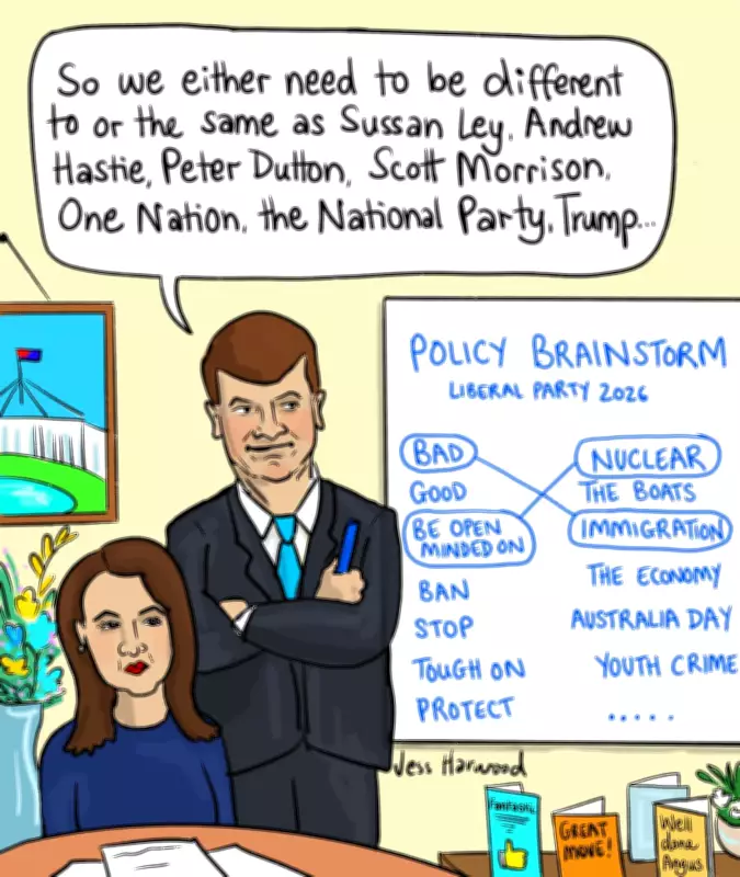 Liberal Party's Future Direction Under Angus Taylor's Leadership