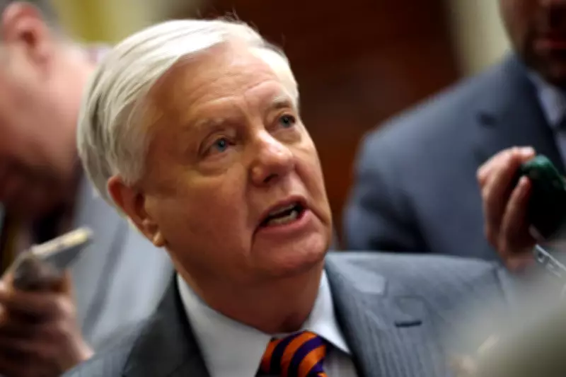 Lindsey Graham Accused of Pushing Fox Host Trey Gowdy as Attorney General