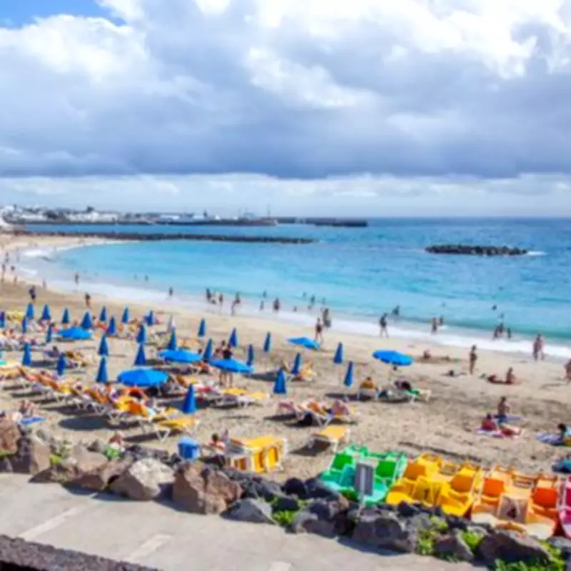 Locust Swarms Threaten Spanish Canary Islands, Raising Plague Fears