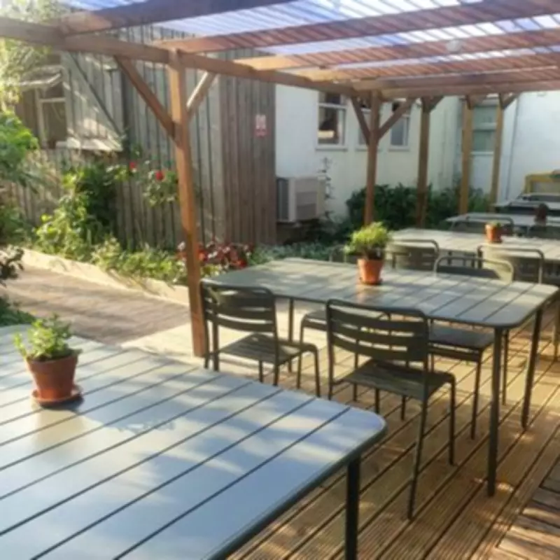 London's Secret Cat Cafe: Pet Felines for Free at Stepney's Farm Cafe