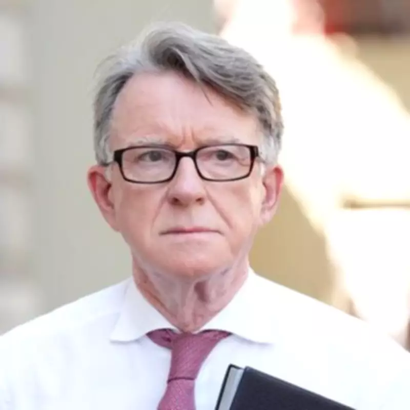 Lord Mandelson's Epstein Question Fury: 'F**k Off' to FT Journalist
