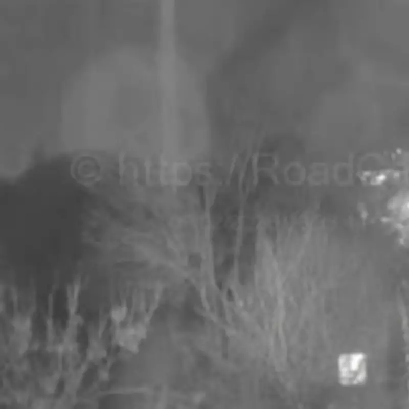 M69 Motorway Closed After Serious Collision Near Coventry