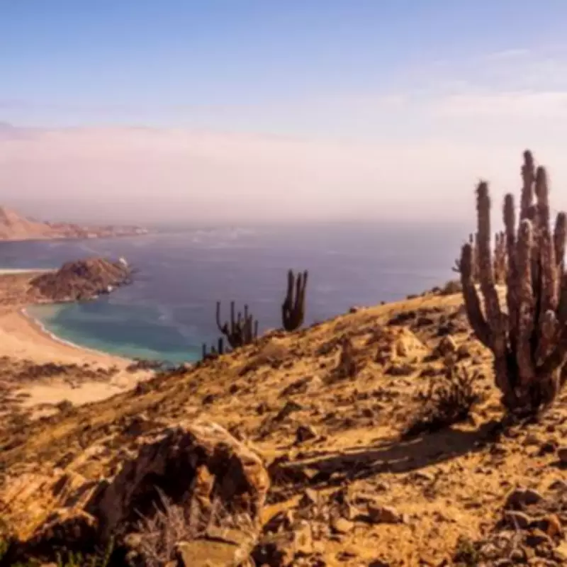 Major 6.2 Magnitude Earthquake Strikes Ovalle in Central Chile