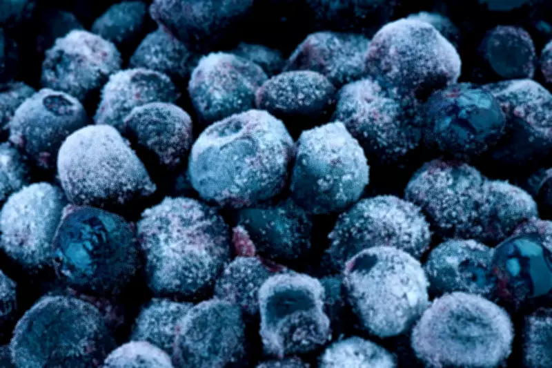 Major Frozen Blueberry Recall Across US and Canada Over Listeria Contamination Fears