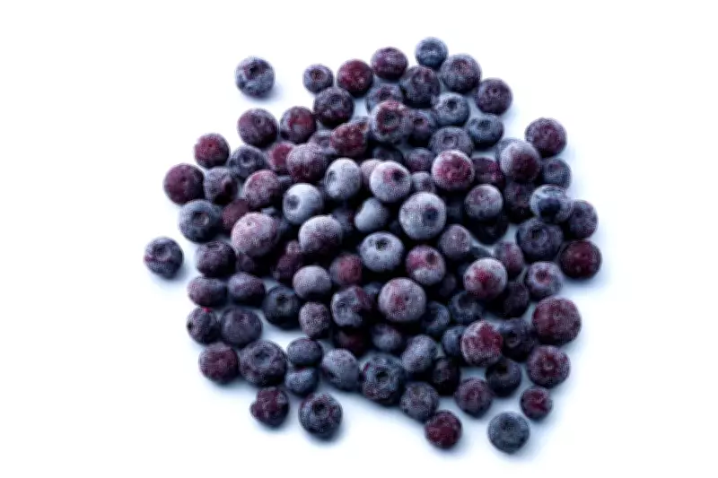 Major Frozen Blueberry Recall Over Listeria Contamination Risk