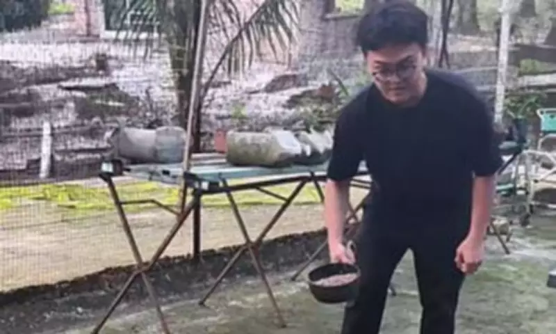 Malaysia's First 'Youth Retirement Home' Offers Burnout Escape for £376