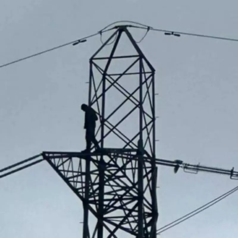 Man Climbs Yorkshire Pylon, Causing Widespread Power Cuts in Brighouse