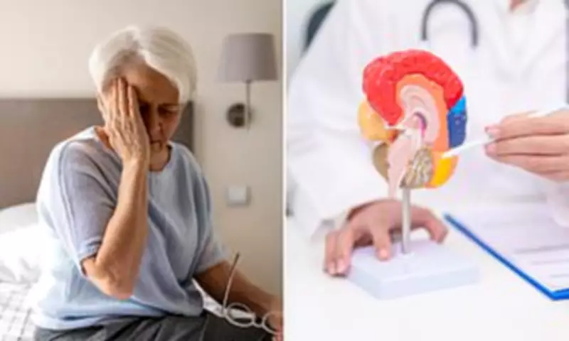 Manchester Professor Reveals Key Dementia Prevention Strategies