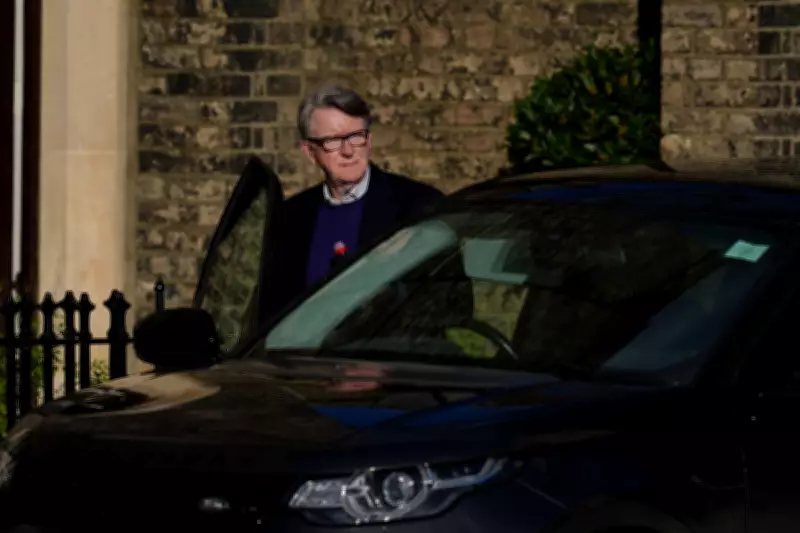 Mandelson's Lobbying Firm Global Counsel Faces Administration Over Epstein Fallout