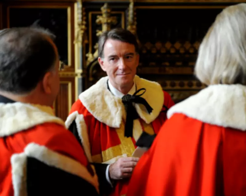 Mandelson's Lords Exit Sparks Call for Overhaul of Unelected Chamber
