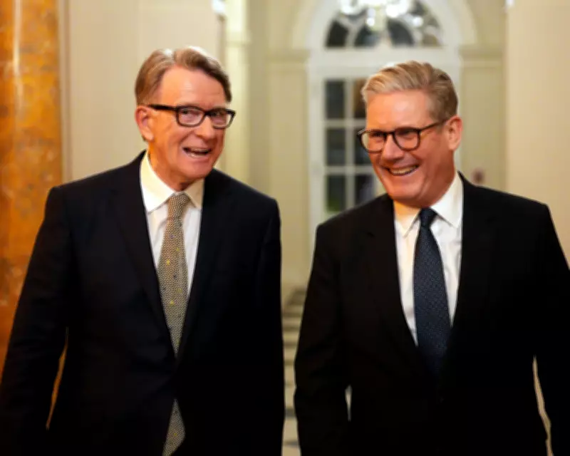 Mandelson's US Ambassador Vetting Criticised as Insufficient by Security Experts