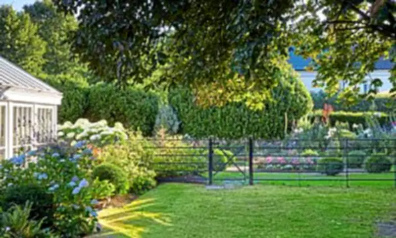 Mary Berry's Gardening Journey: From Novice to Expert with Top Tips