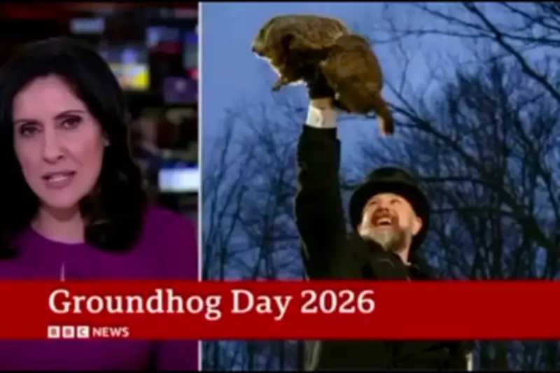 Maryam Moshiri's Groundhog Day BBC News Report Goes Viral Again