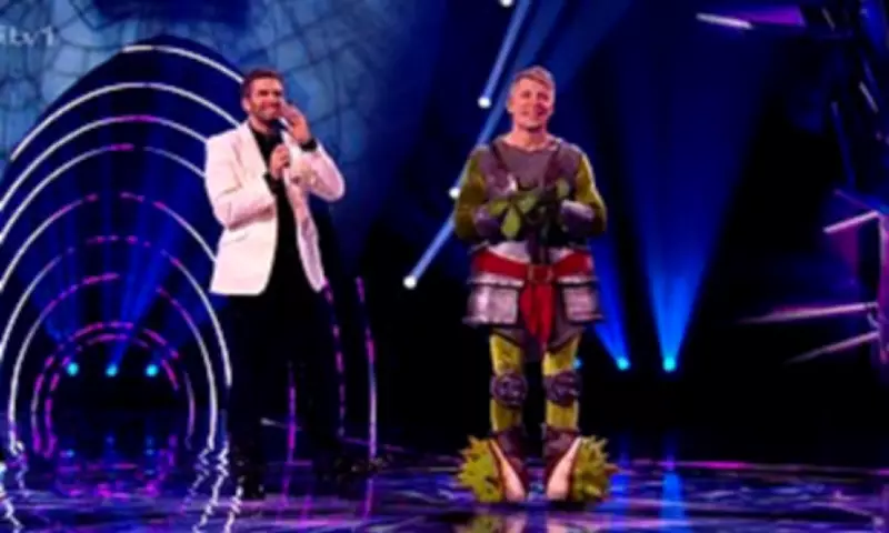 Masked Singer Host's Toddler Son Spills Secret Identity of Runner-Up