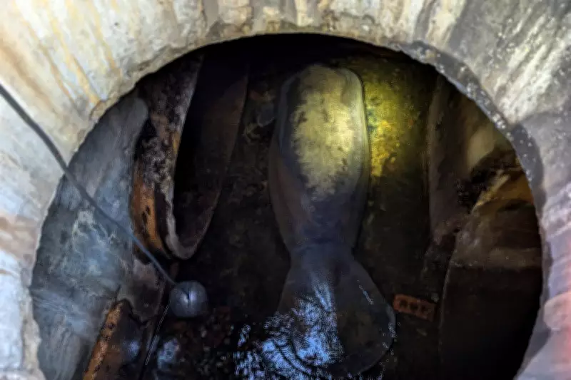 Massive 410-Pound Manatee Rescued from Florida Storm Drain, Now Recovering
