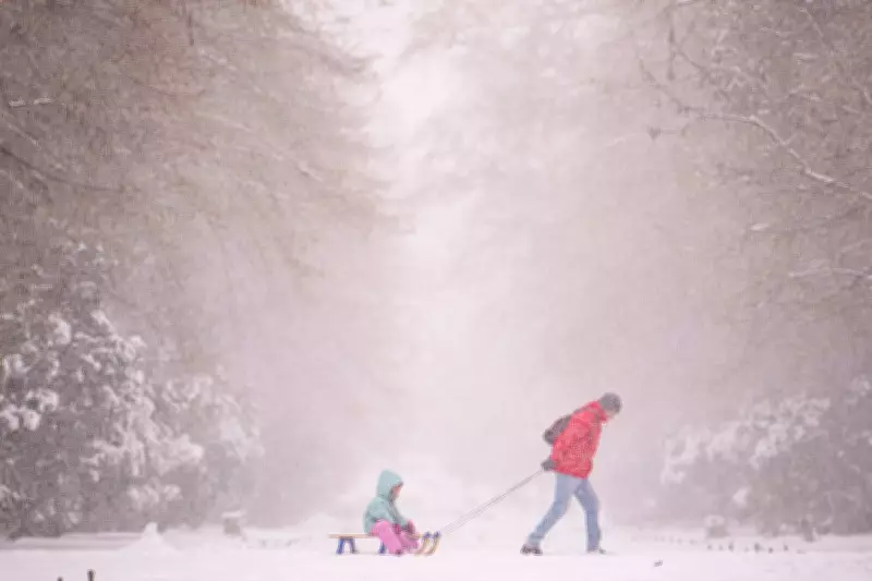 Massive Snowstorm Leaves 200,000 Homes Without Power in Eastern Europe