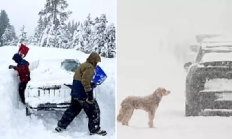 Massive Winter Storm Threatens Over Half of US with Heavy Snow and Avalanches