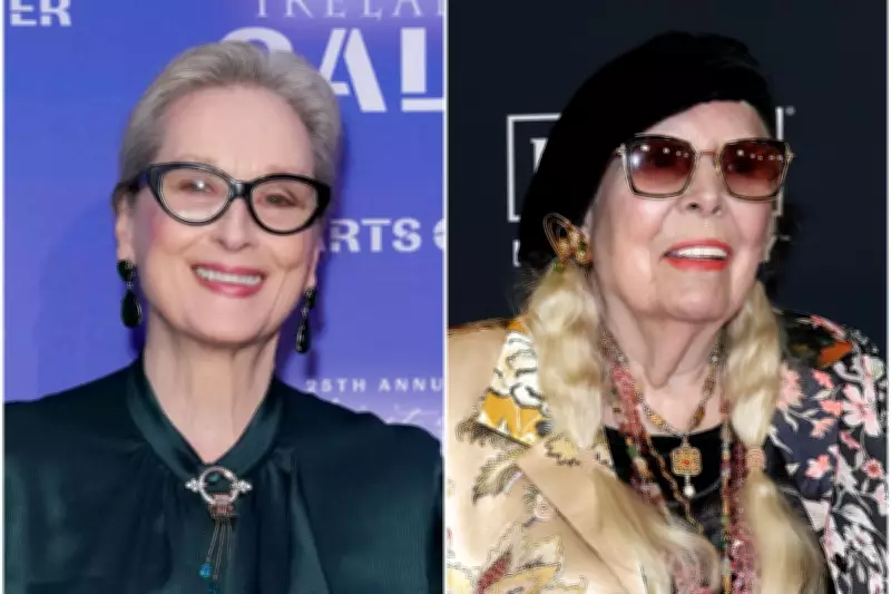 Meryl Streep Cast as Joni Mitchell in Cameron Crowe Biopic Sparks Renewed Interest