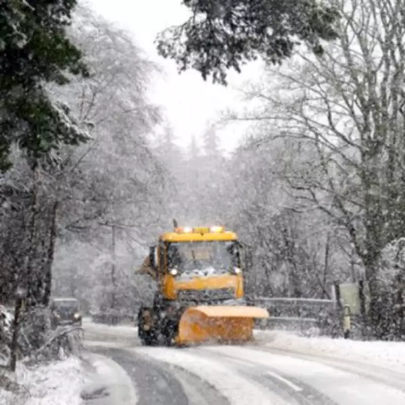 Met Office Clarifies 'Beast from the East' Snowstorm Predictions for UK