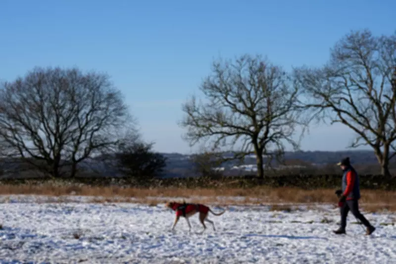 Met Office Issues Dual Yellow Snow Warnings Across Scotland, Disruption Expected