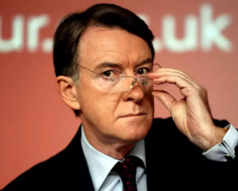Met Police Weigh Criminal Probe into Mandelson Over Epstein Files