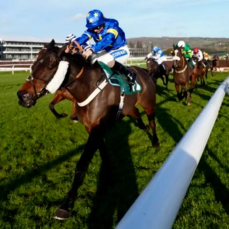 Mirror's Complete Cheltenham Festival 2026 Guide: Free Tips and Pullouts