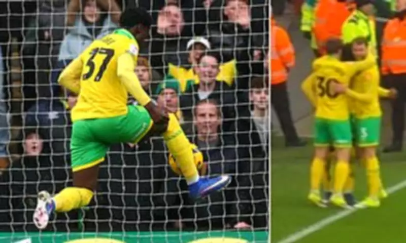 Mohamed Toure Scores Dream Debut Goal for Norwich City in Championship