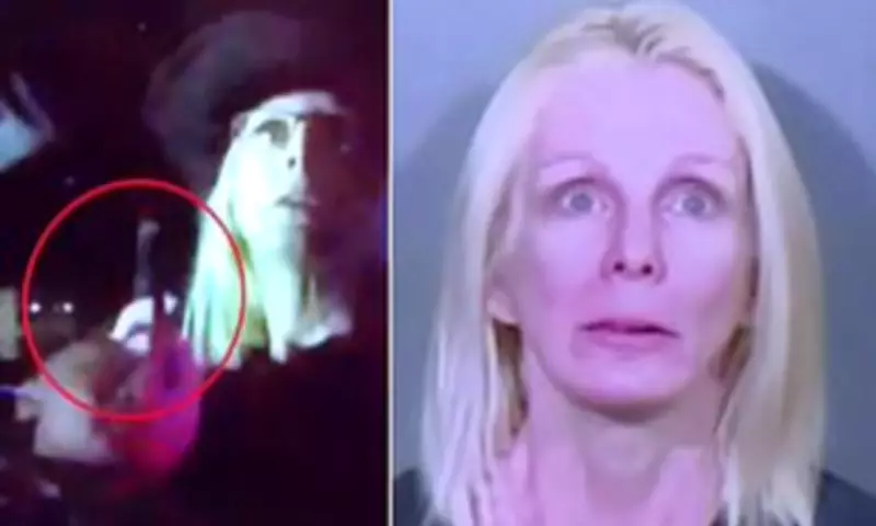 Montana Woman Points Gun at Nevada Troopers in Late-Night Traffic Stop Chaos