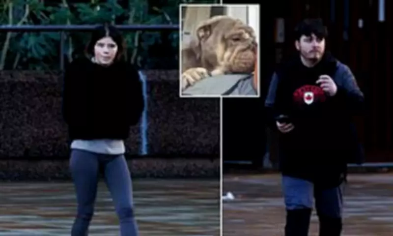 Mother Jailed for Lying About Dog Attack That Cost Baby His Toe