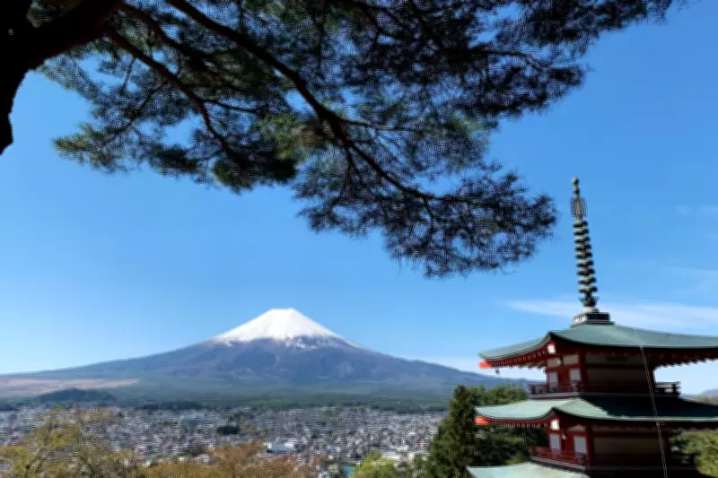 Mount Fuji Cherry Blossom Festival Cancelled Over Tourist Misconduct