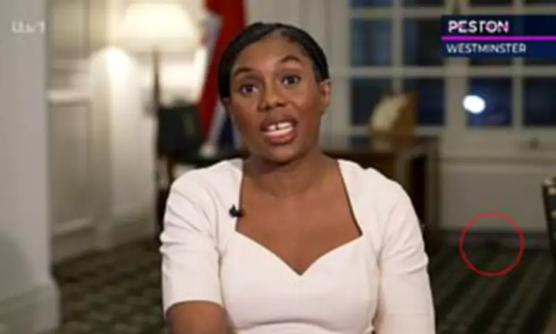 Mouse Dashes Past Kemi Badenoch During TV Interview on Mandelson-Epstein Scandal