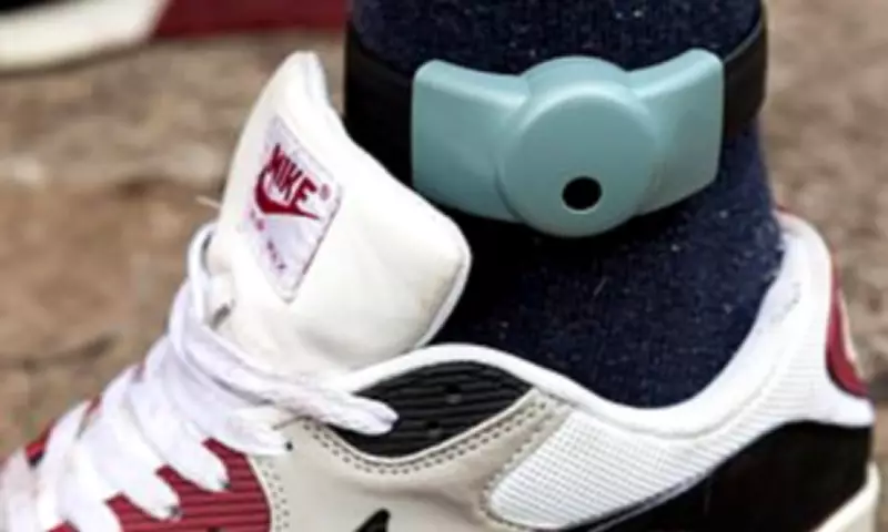 MPs Warn of 'Failing' Probation Service Amid Alarming Surge in Offender Crimes