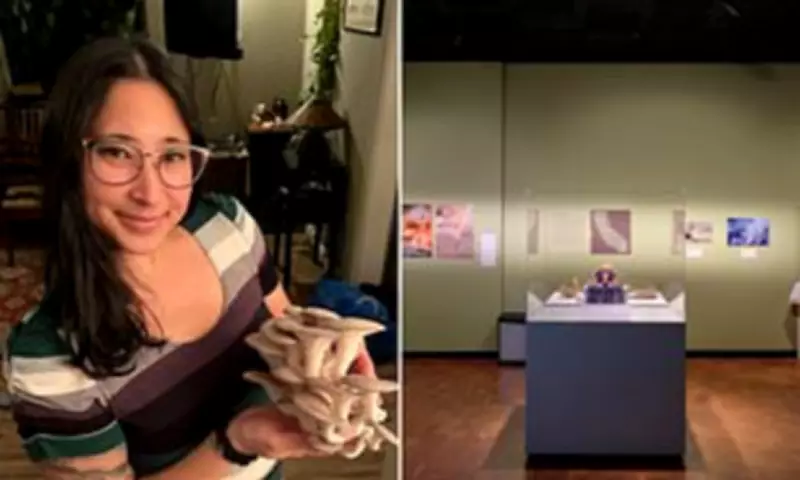 Museum Staff Speak to Native American Artifacts Following Tribal Requests