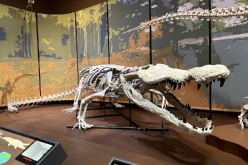 Museum Unveils First 3D Replica of Ancient 'Dinosaur Killer' Crocodile