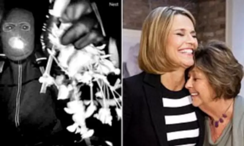 Nancy Guthrie Investigation: Walmart Clothing Clue as Family Cleared