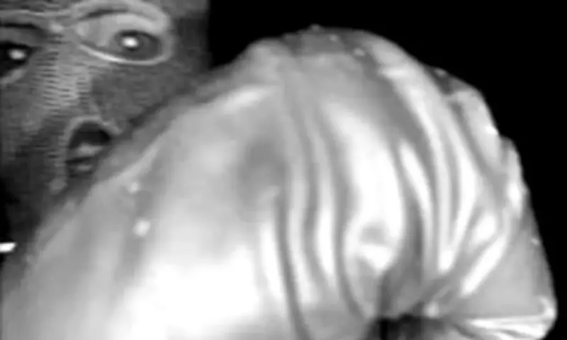 Nancy Guthrie's Black Glove Abduction in Tucson, Arizona: Doorbell Footage Revealed