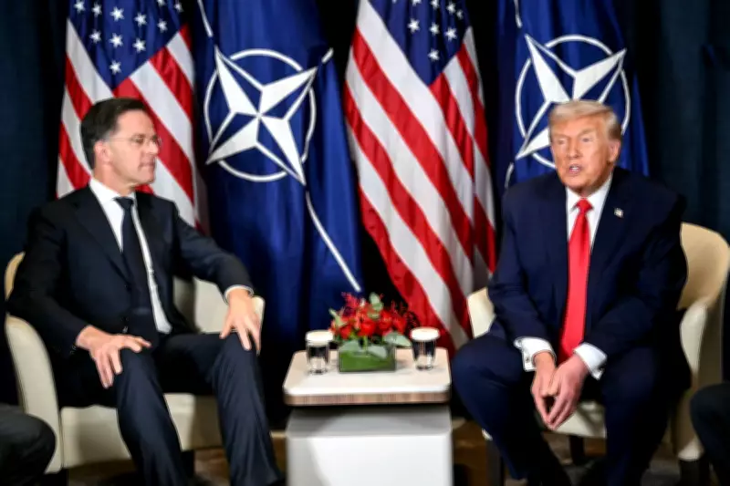 NATO Chief Explains Origin of Trump's 'Daddy' Nickname in Candid Interview