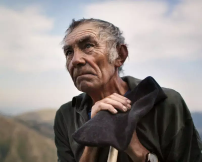 Neo-Rural Cinema: How European Films Explore Modern Countryside Conflicts