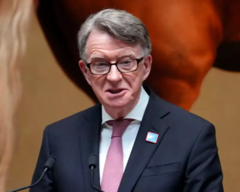 New Epstein Emails Seal Mandelson's Fate: Intimate Ties and Leaks Revealed
