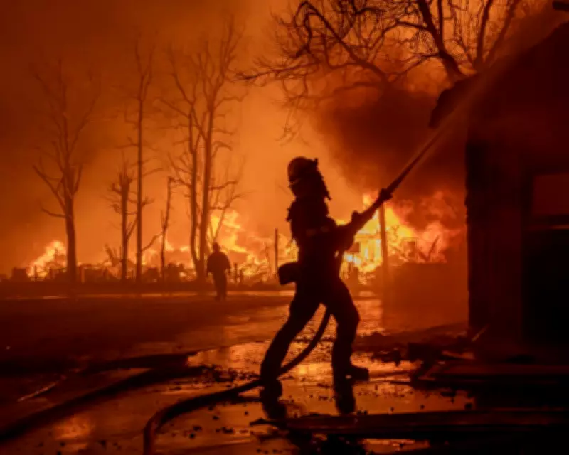 New Study Warns of Escalating Global Wildfire Danger and Risks