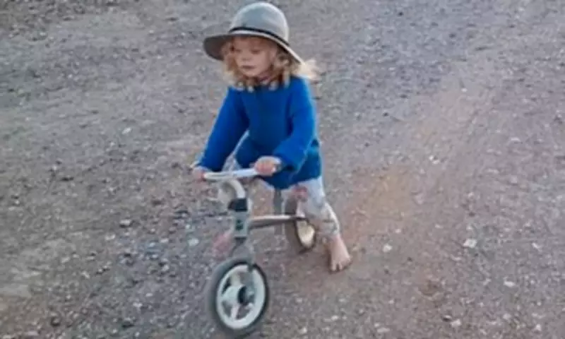 New Video of Missing Boy Gus Lamont May Provide Crucial Clue in Ongoing Search