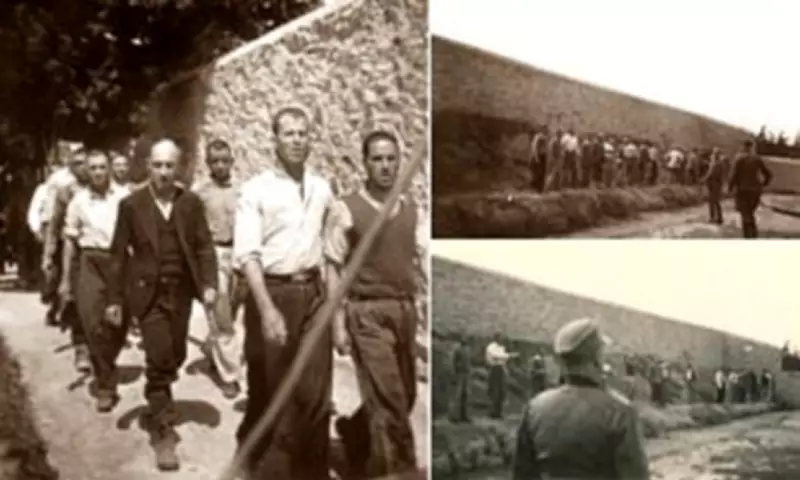 Newly Unearthed Photos Reveal Horrors of 1944 Nazi Massacre in Athens