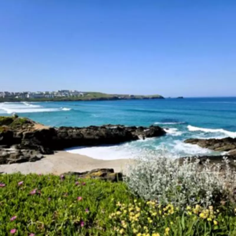Newquay Crowned UK's Top Dog-Friendly Seaside Destination for Off-Peak Travel