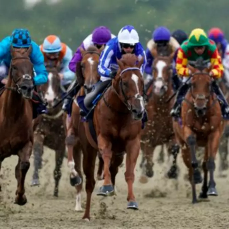 Newsboy's Friday Racing Tips: Apiarist Napped at Lingfield, Our Dylan at Newbury