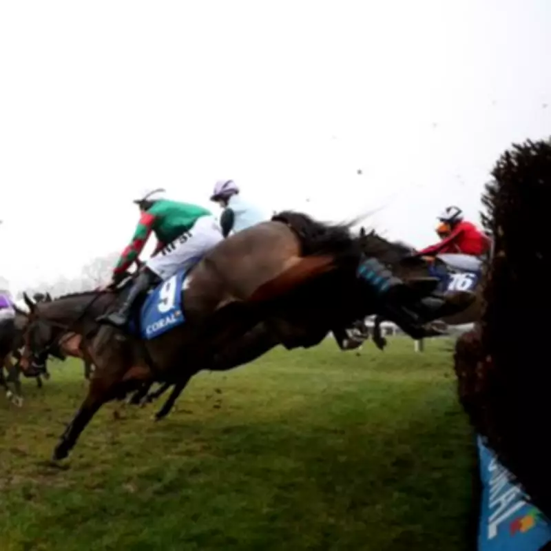 Newsboy's Friday Racing Tips: Delta Blues Belle Nap at Chepstow