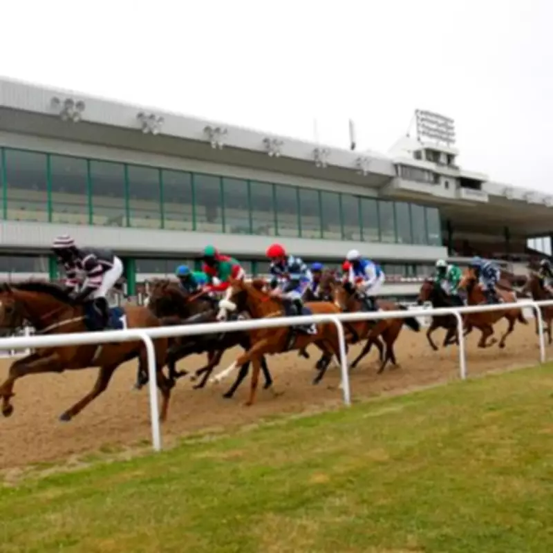 Newsboy's Monday Racing Tips: Sisters In The Sky Tipped as Wolverhampton Nap