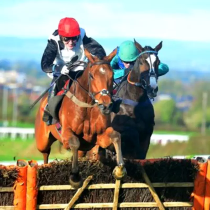 Newsboy's Racing Tips: Wolfburg Nap at Carlisle, Keppel Queen Next Best