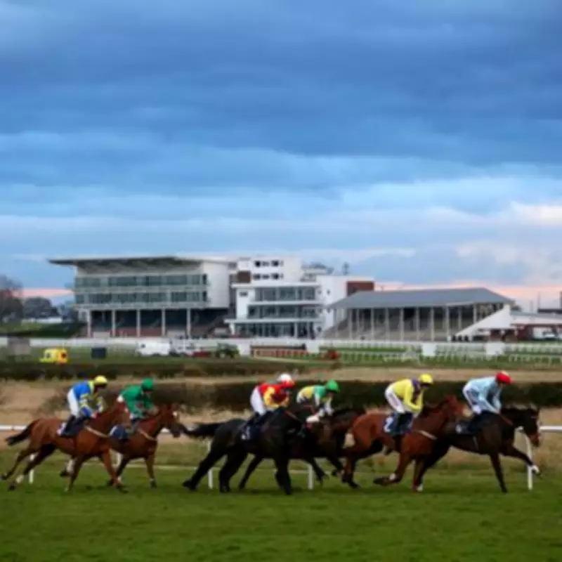 Newsboy's Thursday Racing Tips: Blue Carpet and Magical Maggie Lead Selections